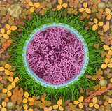 April 24 to 30 is World Immunization Week